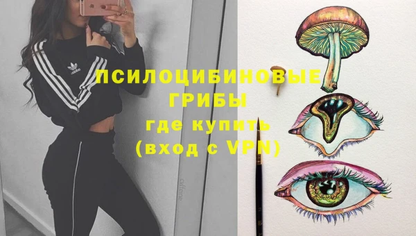меф Дмитров