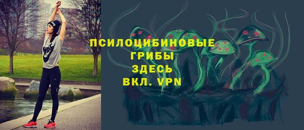 круглые Дмитриев